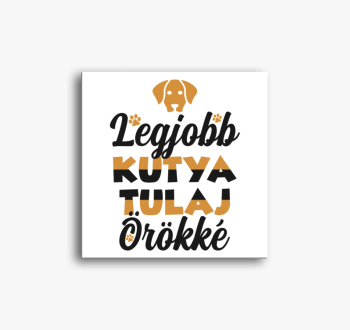 Legjobb kutya tulaj ...