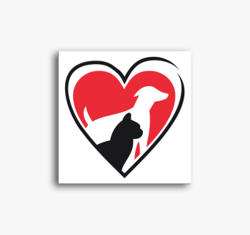 Kutya macska szív vá