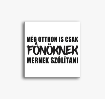 Még otthon is csak f...