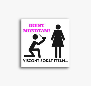 Igent mondtam, viszont sokat ittam vászonkép