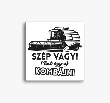 Szép vagy mint egy ú...