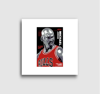 Michael Jordan Bulls...