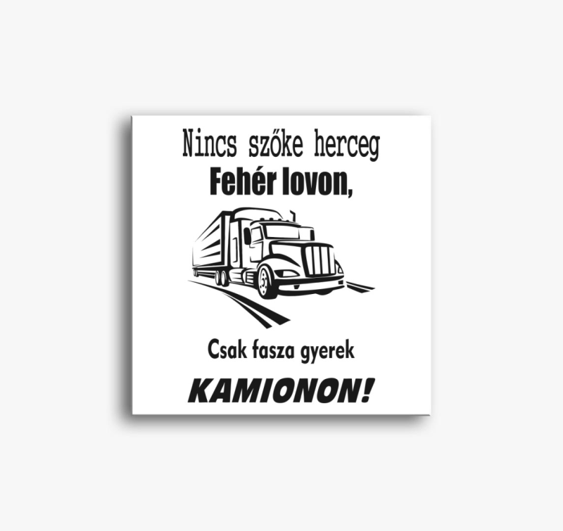 Nincs szőke herceg fehér lovon, csak fasza gyerek kamionon vászonkép