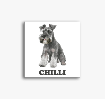 Shnauzer névvel vász