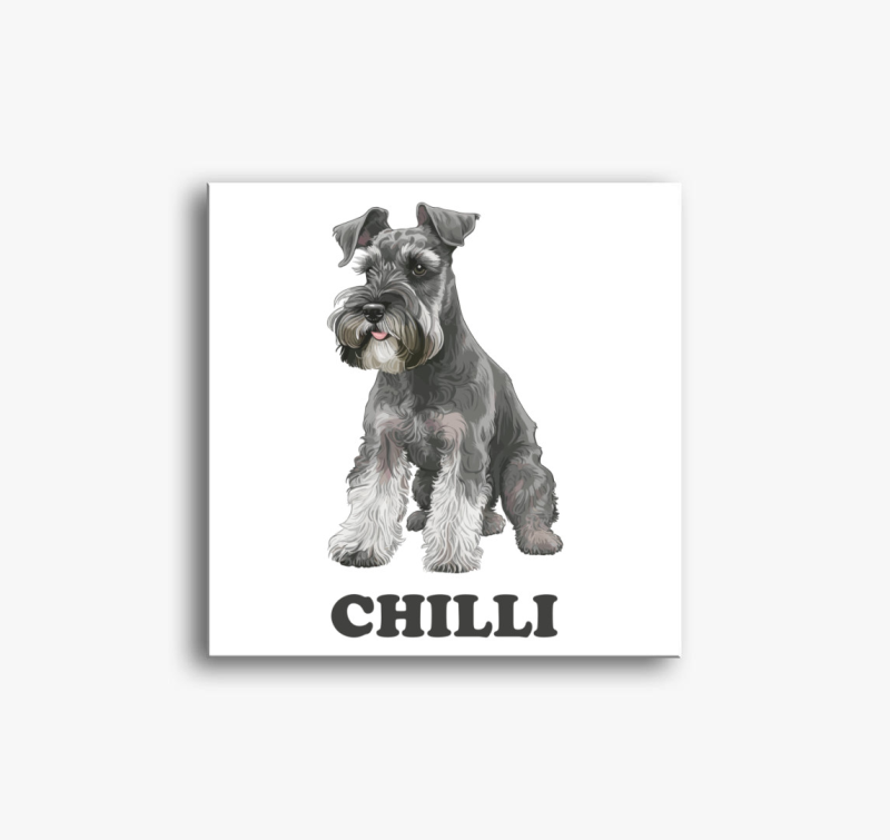 Shnauzer névvel vászonkép