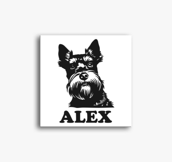 Schnauzer illusztrác...