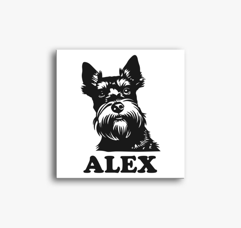 Schnauzer illusztráció vászonkép