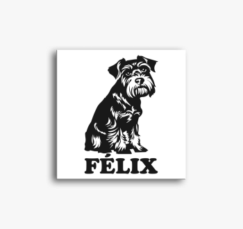 Schnauzer névvel 2 v...