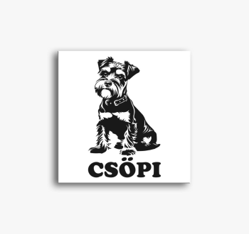 Schnauzer névvel 5 v...