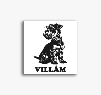 Schnauzer névvel 7 v...