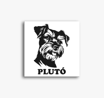 Schnauzer névvel 10 ...