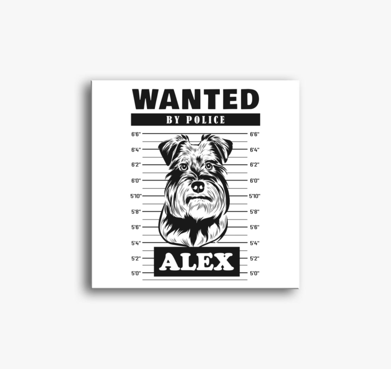 Schnauzer wanted vászonkép