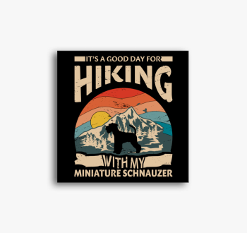 Schnauzer hiking vás