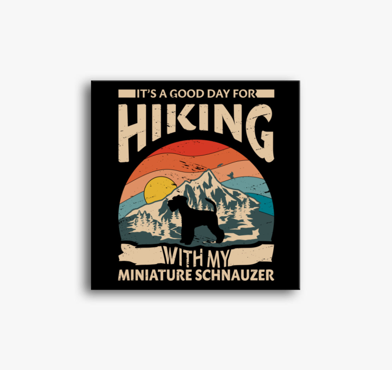 Schnauzer hiking vászonkép