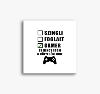 Gamer vagyok és ninc...