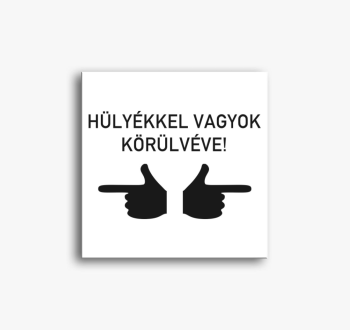 Hülyékkel vagyok kör...