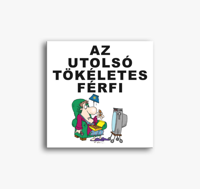 Az utolsó tökéletes férfi vászonkép