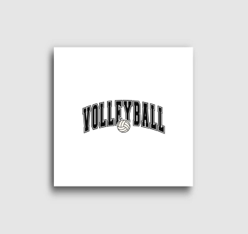 Volleyball vászonkép