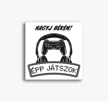 Hagyj békén épp játs...