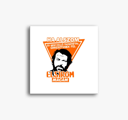 Bud Spencer mintás vászonkép...