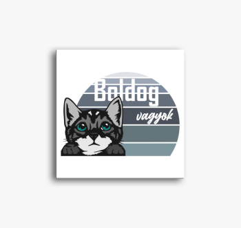 Macska mintás vászon