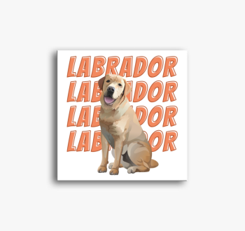 Labrador mintás vász