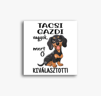 Tacsi gazdi vagyok m...