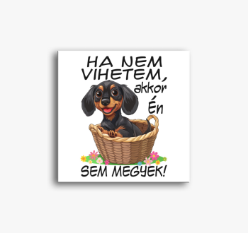 Tacsi Ha nem vihetem...