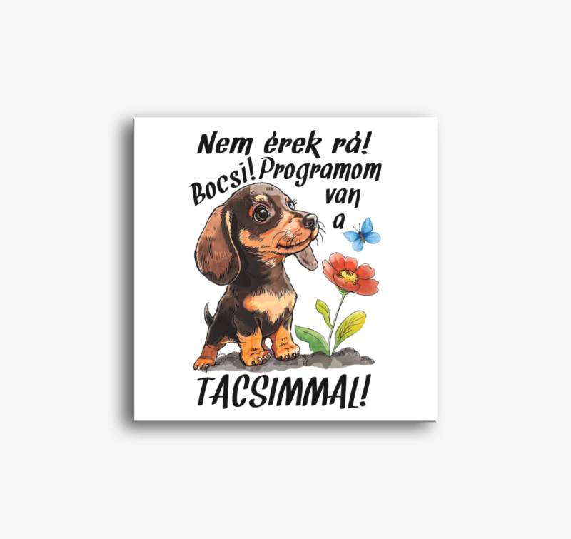 Tacsi Nem érek rá bocsi programom van a Tacsimmal! vászonkép