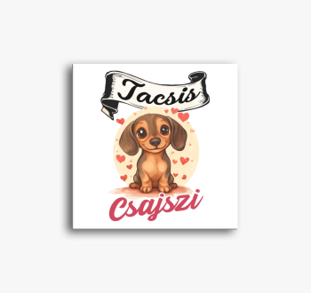 Tacsis Csajszi barna...