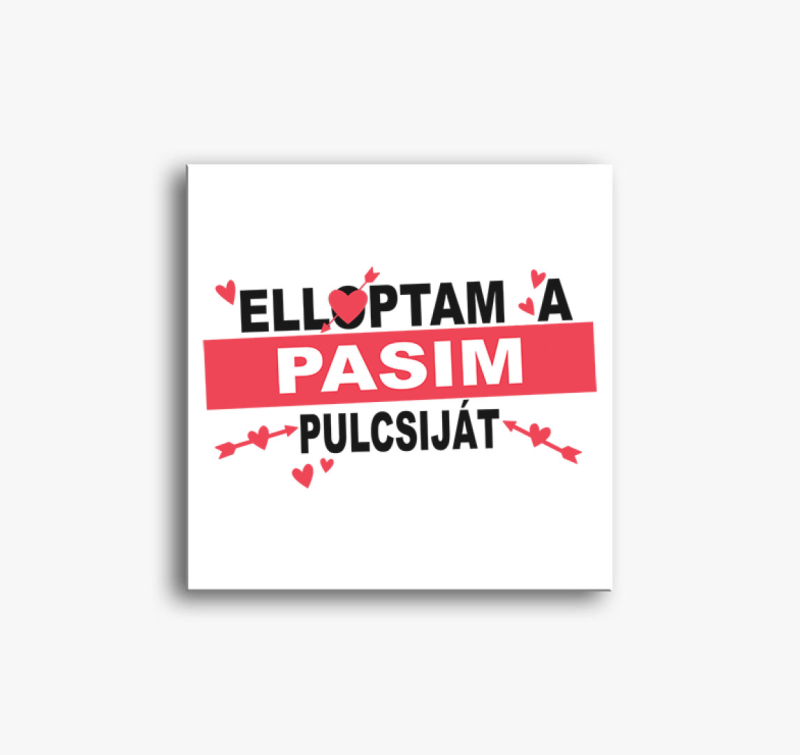 Elloptam a pasim pulcsiját vászonkép