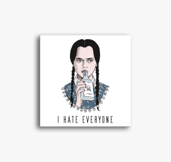 I hate everyone vász