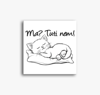 Ma? Tuti nem! cica p...