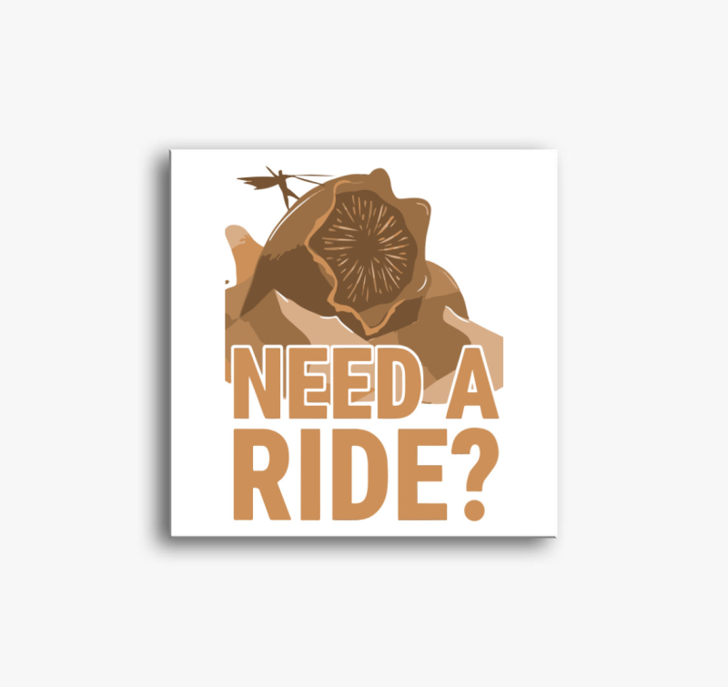 Dűne need a ride vászonkép