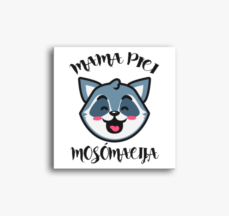 Mama pici mosómacija vászonkép