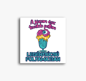 A józan ész tovább p...