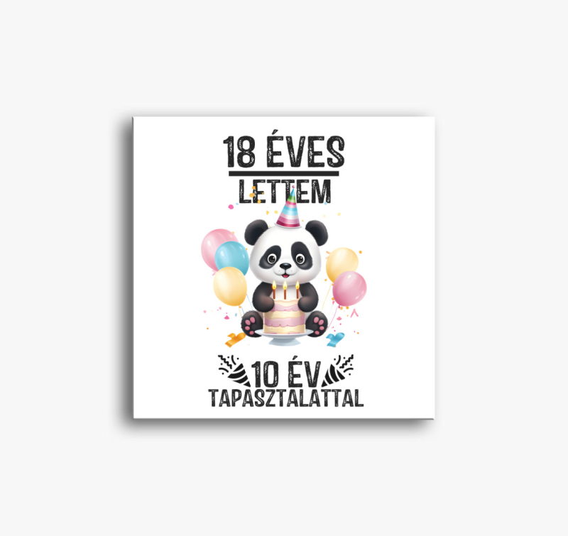 18 éves lettem 10 év alatt vászonkép