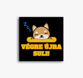 Végre újra suli vász