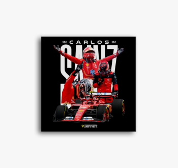 Carlos Sainz Ferrari...