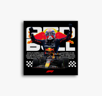 Max Verstappen Törté...