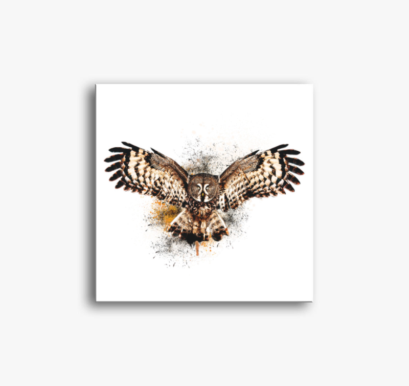 Bagoly vászonkép