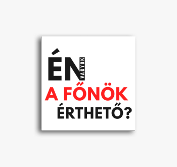 Én vagyok a főnök v2...