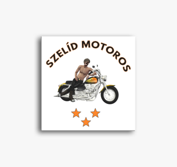 Szelíd Motoros vászo