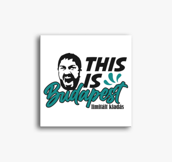 This is Budapest fel...