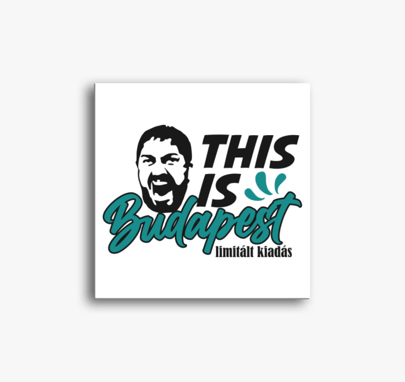 This is Budapest feliratú vászonkép