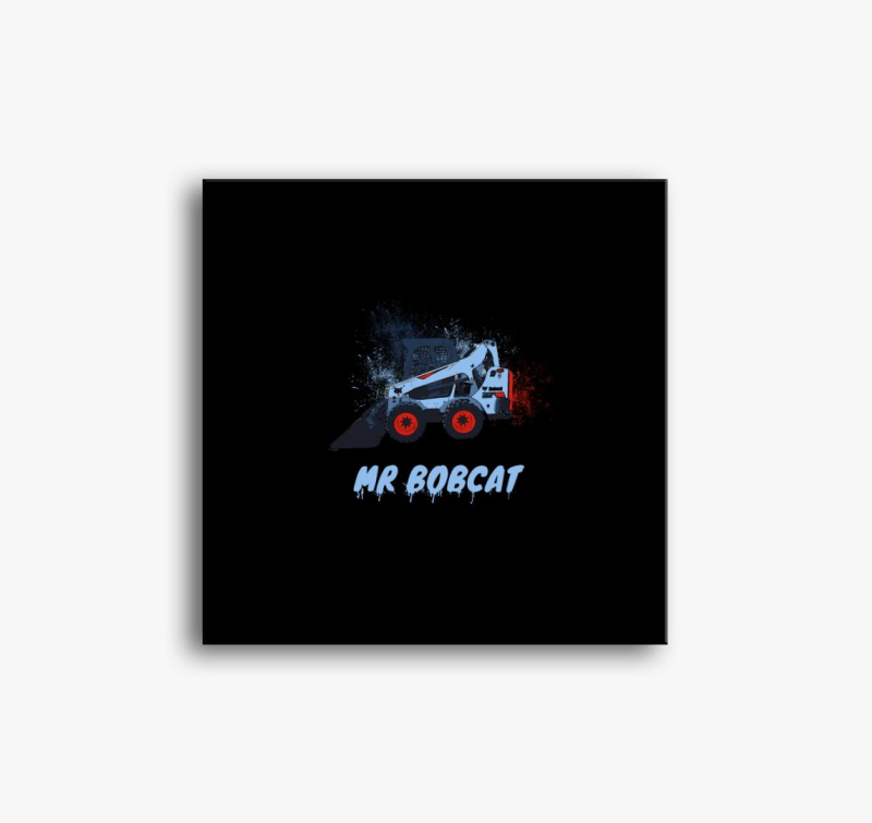 Mr Bobcat vászonkép