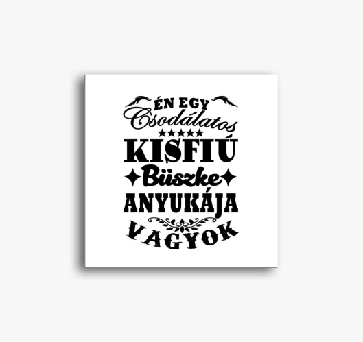 Csodálatos kisfiú büszke anyuk...