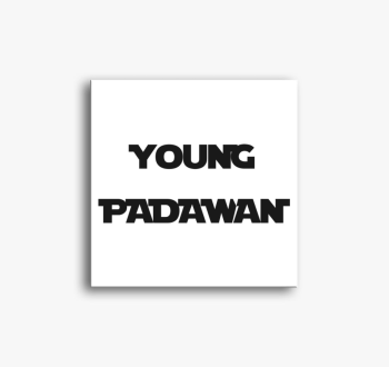 Young padawan vászon