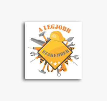 A legjobb szakember ...