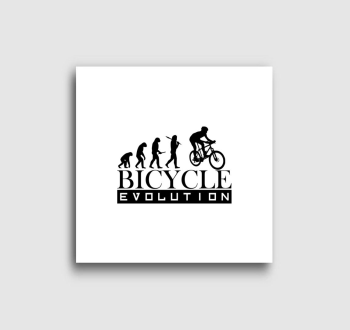 Bicycle evolution vászonkép